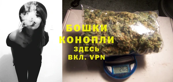 гидра Богданович