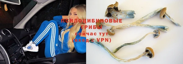 бутират Богородск