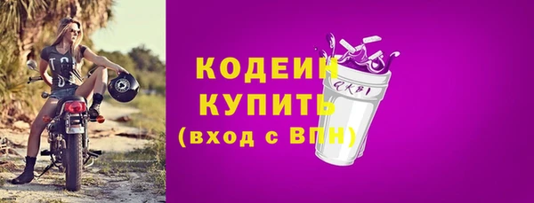 гидра Богданович