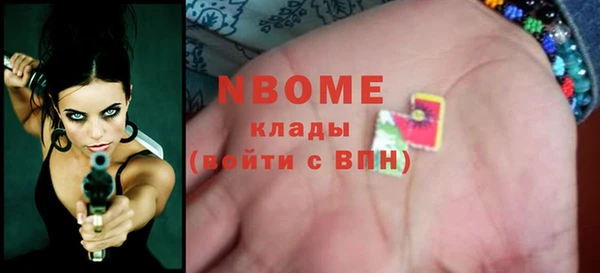 гидра Богданович