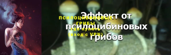 метадон Богородицк
