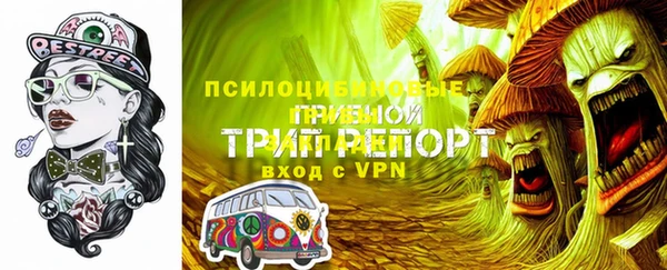 гидра Богданович