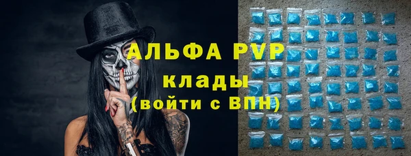 гидра Богданович