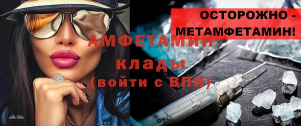 гидра Богданович