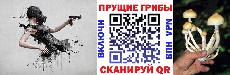 Псилоцибиновые грибы мухоморы  Гусев 