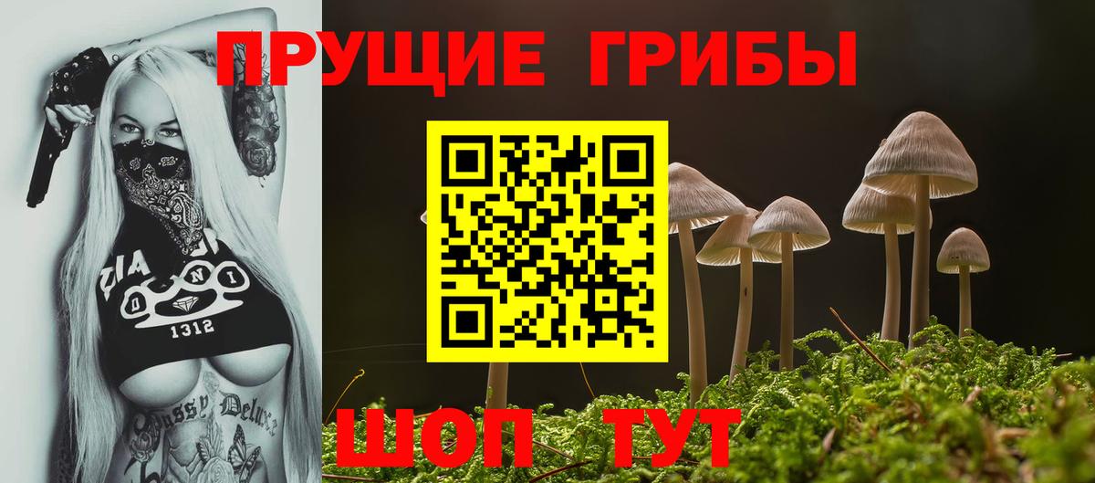 Гусев  Псилоцибиновые грибы Magic Shrooms  купить наркотик  Вход с VPN 